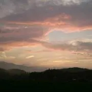 ぽる