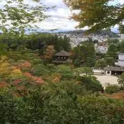 バロン