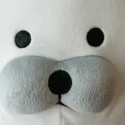 ひろ(おまとめ発送不可)プロフ見てね！の画像
