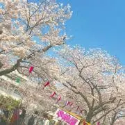 さんきゅの画像