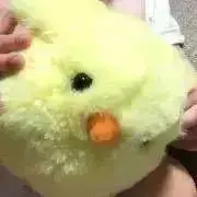 ぴよ　プロフ確認お願いしますの画像
