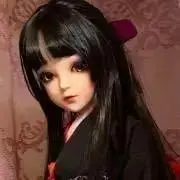 紫苑の画像