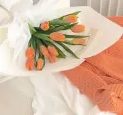 sawaの画像