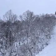 ラスタマンの画像