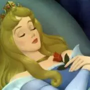 眠り姫の画像