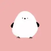 cocoa.の画像