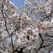 uiの画像