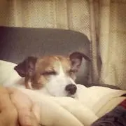 ももなななの画像