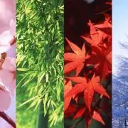 四季の画像