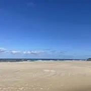 naomiの画像
