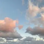 Riiの画像