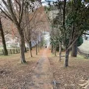むーらの画像