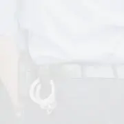 公