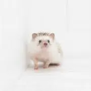 hi!!!の画像