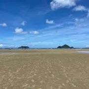 マルマルコの画像
