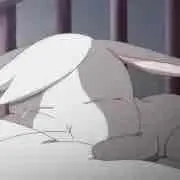 RAKUの画像
