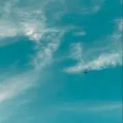 むぎ