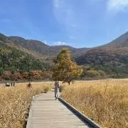 なみたか　断捨離中の画像