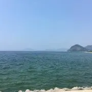 世界のT（送料無料）の画像