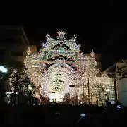 miyabiの画像
