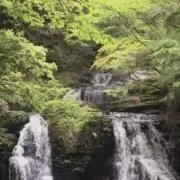 たーたんの画像