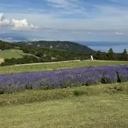 ncの画像