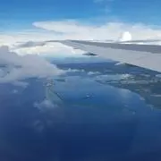 T_6の画像