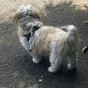 rbikerの画像