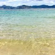 mieの画像