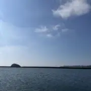MO·͜·ᰔᩚの画像