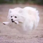 みんの画像