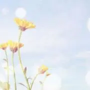 ゆうの画像