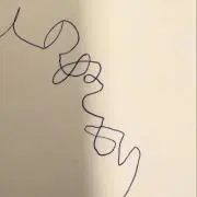 ふの画像