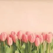 amipa___ プロフィールご覧下さいの画像
