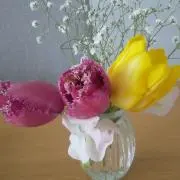 ちわにゃん   (プロフ確認お願い☆)の画像