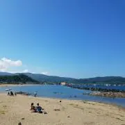あんずの画像