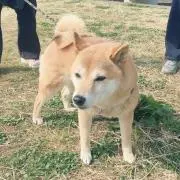 さやか(*'ω'*)