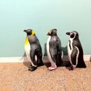 ＊断捨離の画像