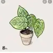 すずきの画像