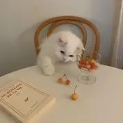 Aの画像