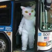 Aaaaの画像