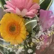 s.k..の画像