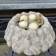らんらんの画像