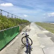 ぽんたろうの画像