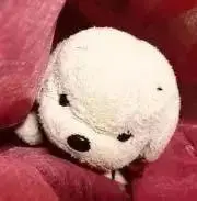みうの画像
