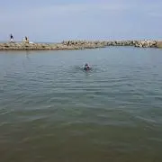 しなまりたん