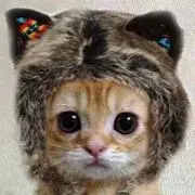 GRAPEVINE CD・DVD 19点セット 非売品プロモCD2枚含む - メルカリ