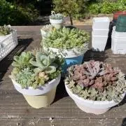 モナ　SALE❗️おまとめ割り実施中❣️の画像