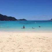 antoの画像