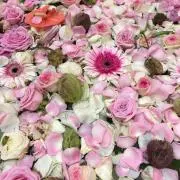mkteen‎☽⋰まとめ売りで値引きˊ˗の画像